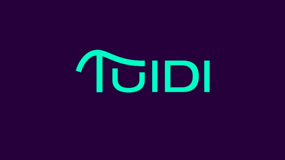 Tuidi