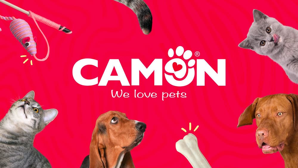 Anteprima del progetto Camon