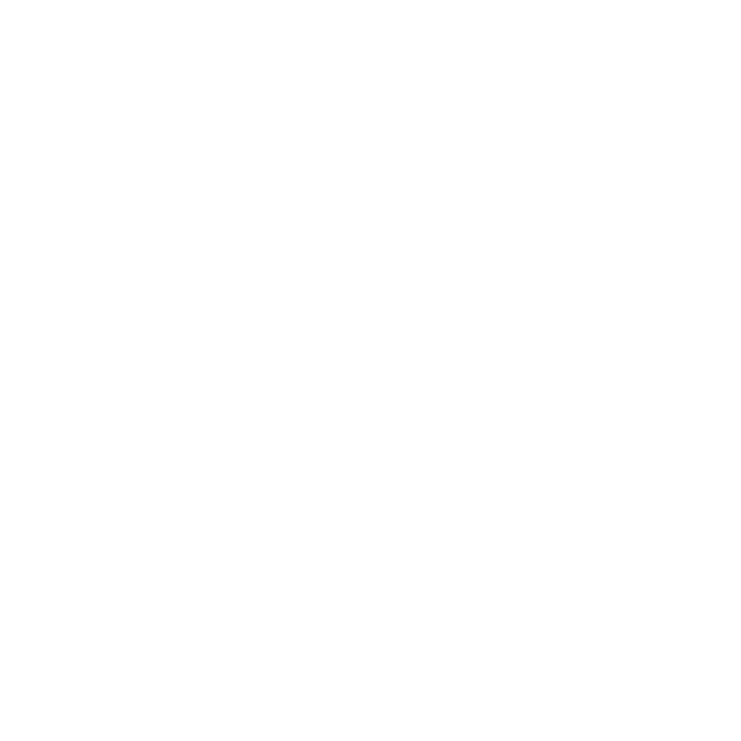 Logo BonusX