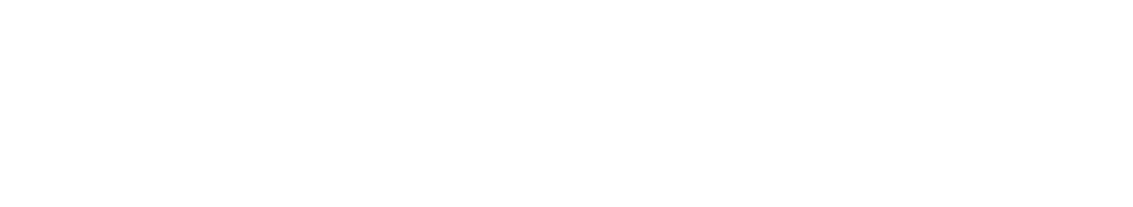 Logo Smartness